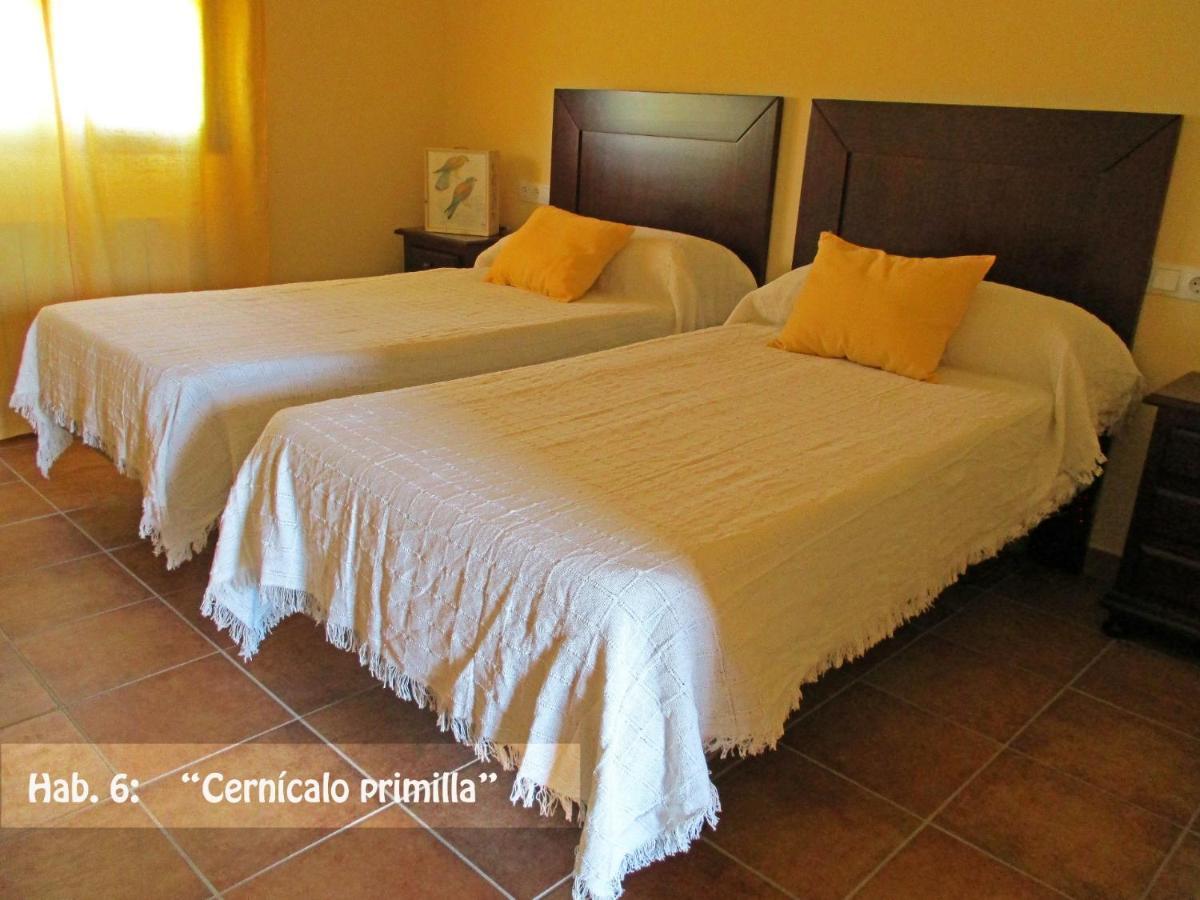 Casa Rural El Nidal Casas de Don Pedro Extérieur photo